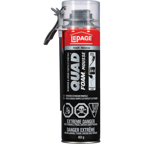 Mousse d'installation de portes & fen&ecirc;tres Quad Mousse, Canette a&eacute;rosol, Havane Nia-Chem Ltd.