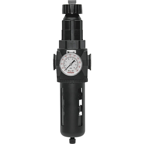 Modulair 400 Filter/Regulator with Manual Drain, 3/4" NPT, 200 psi, 9.1 fl. oz. Capacity Nia-Chem Ltd.