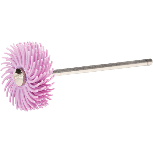 Scotch-Brite Radial Bristle Discs, Pumice Grit, 3/4" Dia. Nia-Chem Ltd.