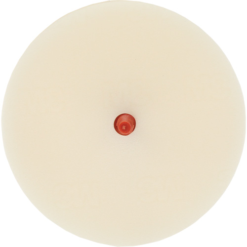 Disque pour enlever les bandes et les adh&eacute;sifs pour moulures Scotch-Brite, 4" dia. Nia-Chem Ltd.