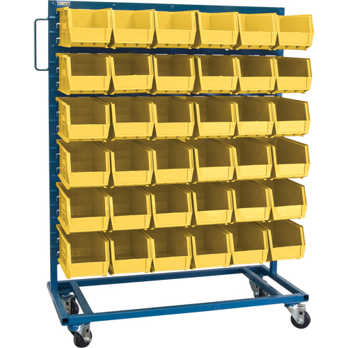Single-Sided Mobile Bin Rack, Single-sided, 36 bins, 36" W x 16" D x 46-1/2" H Nia-Chem Ltd.