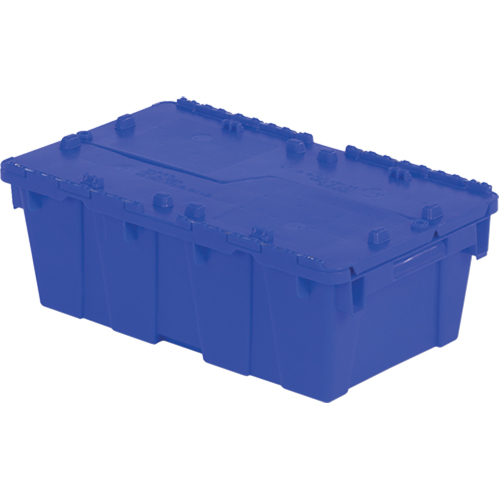Flipak&reg; Polyethylene Plastic (PE) Distribution Containers, 19.7" x 11.8" x 7.3", Blue Nia-Chem Ltd.