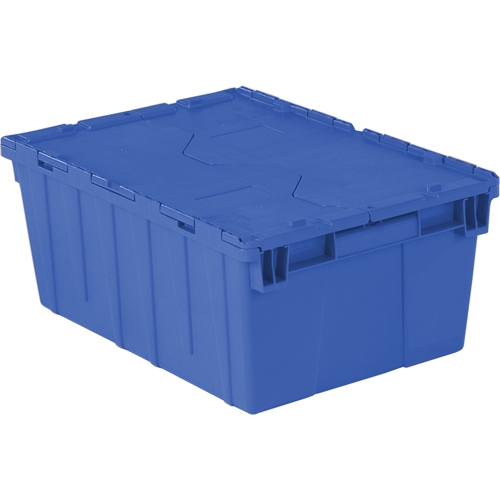 Flipak&reg; Polyethylene Plastic (PE) Distribution Containers, 21.9" x 15.2" x 9.3", Blue Nia-Chem Ltd.