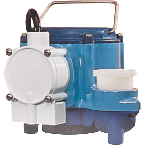Pompes submersibles, 1/3 CV, 46 gal./h, 115 V, 9 A Nia-Chem Ltd.
