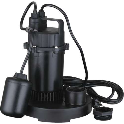 Pompe de puisard submersible thermoplastique, 2560 gal./h, 115 V, 4,6 A, 1/3 CV Nia-Chem Ltd.