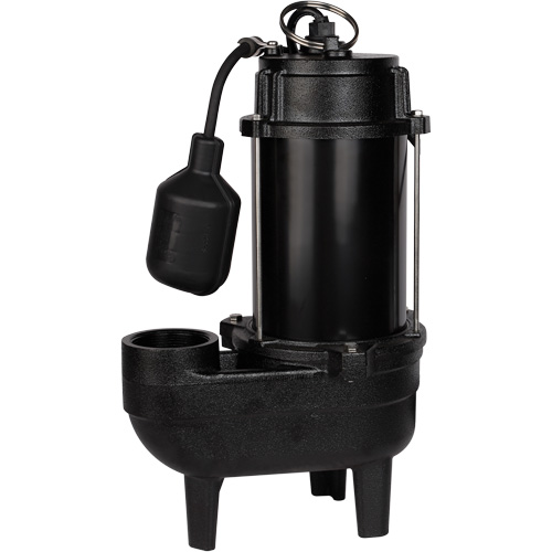 Cast Iron Sewage Pump, 120 V, 9.5 A, 6000 GPH, 1/2 HP Nia-Chem Ltd.