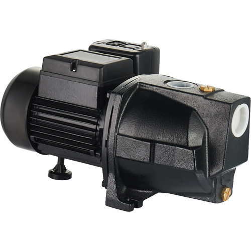 Dual Voltage Cast Iron Shallow Well Jet Pump, 115 V/230 V, 1100 GPH, 1 HP Nia-Chem Ltd.