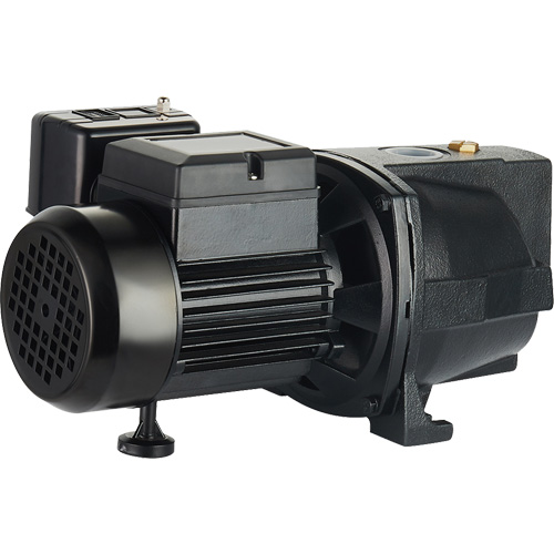 Dual Voltage Cast Iron Shallow Well Jet Pump, 115 V/230 V, 1100 GPH, 1 HP Nia-Chem Ltd.