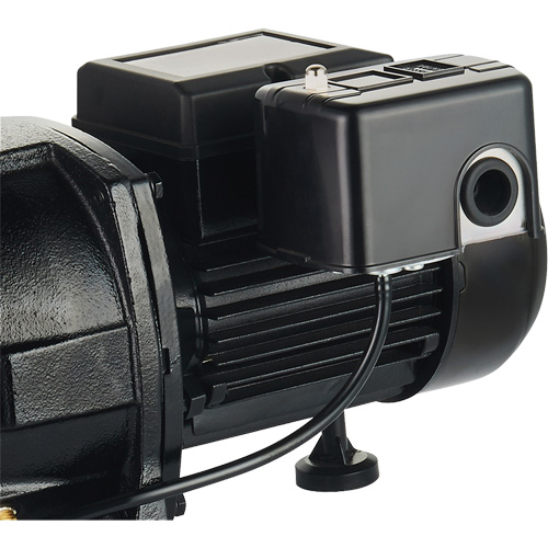 Dual Voltage Cast Iron Shallow Well Jet Pump, 115 V/230 V, 1100 GPH, 1 HP Nia-Chem Ltd.
