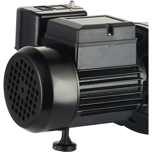 Dual Voltage Cast Iron Shallow Well Jet Pump, 115 V/230 V, 1100 GPH, 1 HP Nia-Chem Ltd.