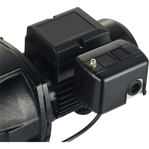 Dual Voltage Cast Iron Shallow Well Jet Pump, 115 V/230 V, 1100 GPH, 1 HP Nia-Chem Ltd.