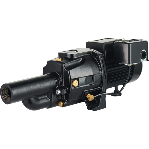 Pompe &agrave; jet en fonte &agrave; double tension transformable, 115 V/230 V, 1400 gal./h, 3/4 CV Nia-Chem Ltd.