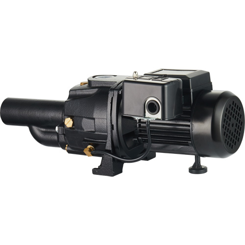 Pompe &agrave; jet en fonte &agrave; double tension transformable, 115 V/230 V, 1400 gal./h, 3/4 CV Nia-Chem Ltd.