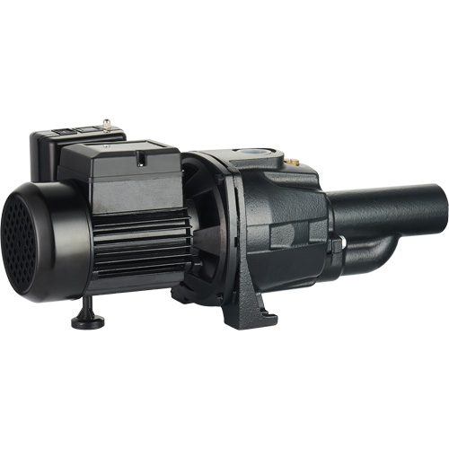Pompe &agrave; jet en fonte &agrave; double tension transformable, 115 V/230 V, 1400 gal./h, 3/4 CV Nia-Chem Ltd.