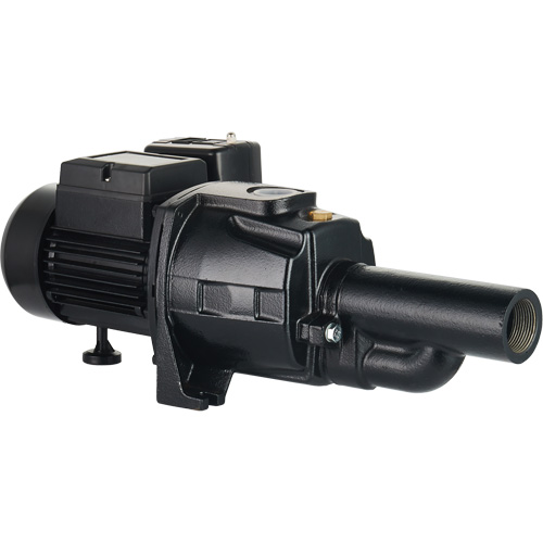 Pompe &agrave; jet en fonte &agrave; double tension transformable, 115 V/230 V, 1400 gal./h, 3/4 CV Nia-Chem Ltd.