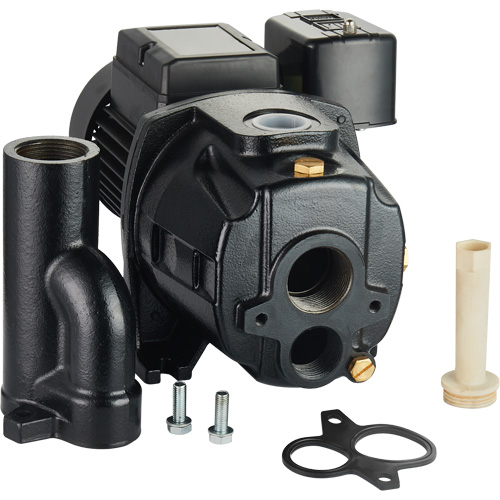 Pompe &agrave; jet en fonte &agrave; double tension transformable, 115 V/230 V, 1400 gal./h, 3/4 CV Nia-Chem Ltd.