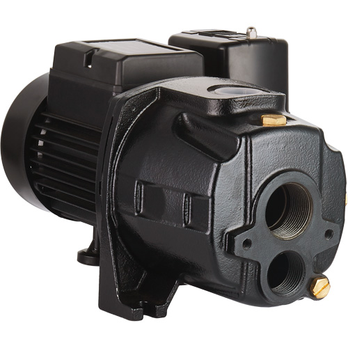 Pompe &agrave; jet en fonte &agrave; double tension transformable, 115 V/230 V, 1400 gal./h, 3/4 CV Nia-Chem Ltd.