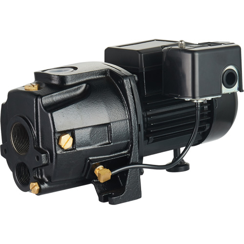 Pompe &agrave; jet en fonte &agrave; double tension transformable, 115 V/230 V, 1400 gal./h, 3/4 CV Nia-Chem Ltd.