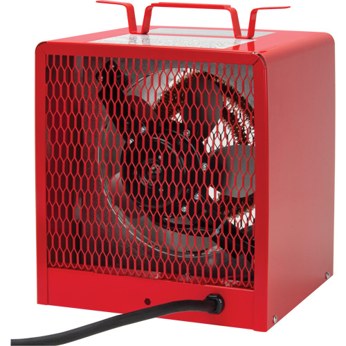 Radiateur, Entrepreneur, &eacute;lectrique, 16 380 BTU/H Nia-Chem Ltd.