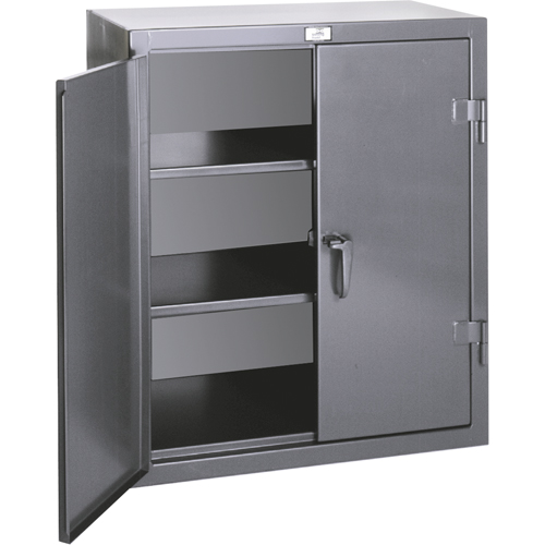 Armoires de rangement hauteur comptoir, Acier, 2 Tablettes, 36" h x 24" la x 20" P, Gris Nia-Chem Ltd.