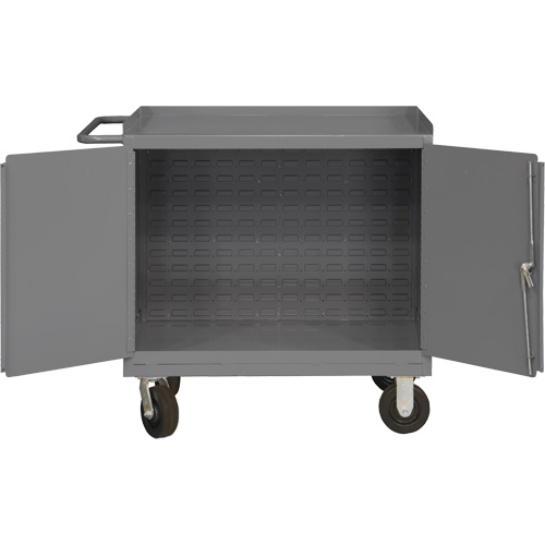 Armoire d'&eacute;tabli mobile avec panneau arri&egrave;re &agrave; persiennes, Acier Surface Nia-Chem Ltd.