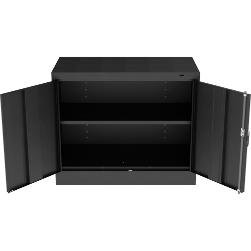 Standard Desk-High Cabinet, Steel, 30" H x 36" W x 18" D, Black Nia-Chem Ltd.