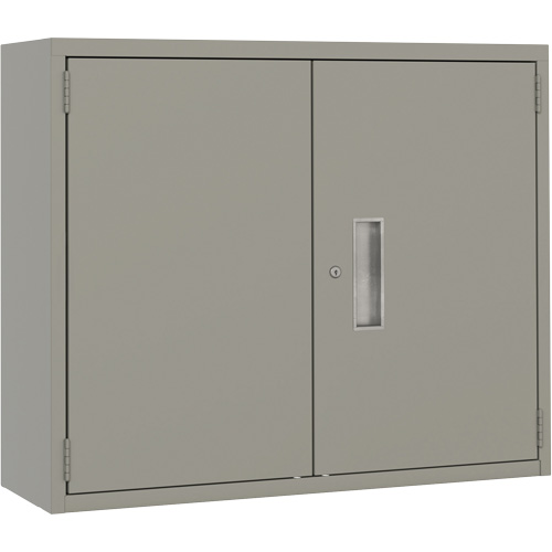 Wall Mounted Cabinet, Steel, 2 Shelves, 30" H x 36" W x 12" D, Grey Nia-Chem Ltd.