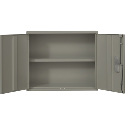 Wall Mounted Cabinet, Steel, 2 Shelves, 30" H x 36" W x 12" D, Grey Nia-Chem Ltd.