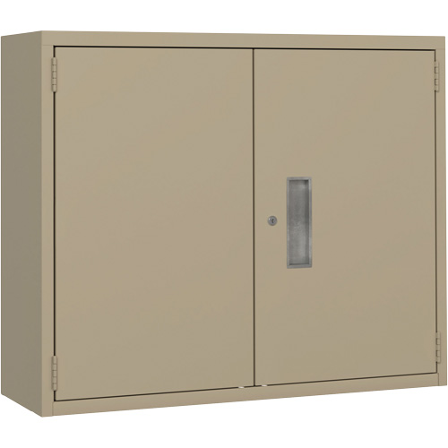 Wall Mounted Cabinet, Steel, 2 Shelves, 30" H x 36" W x 12" D, Beige Nia-Chem Ltd.