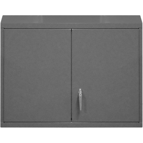 Wall-Mounted Cabinet, 27" H x 29-7/8" W x 13-11/16" D, 2 Shelves, Steel, Grey Nia-Chem Ltd.