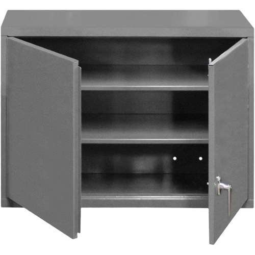 Wall-Mounted Cabinet, 27" H x 29-7/8" W x 13-11/16" D, 2 Shelves, Steel, Grey Nia-Chem Ltd.