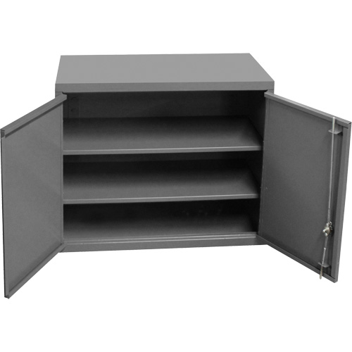 Armoire murale, 27" h x 13-11/16" la x 35-7/8" p, 2 tablettes, Acier, Gris Nia-Chem Ltd.
