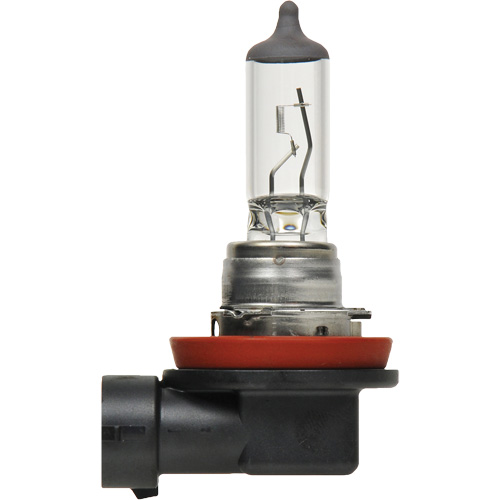 H8 Basic Headlight Bulb, Halogen, 35 W, Off White Nia-Chem Ltd.