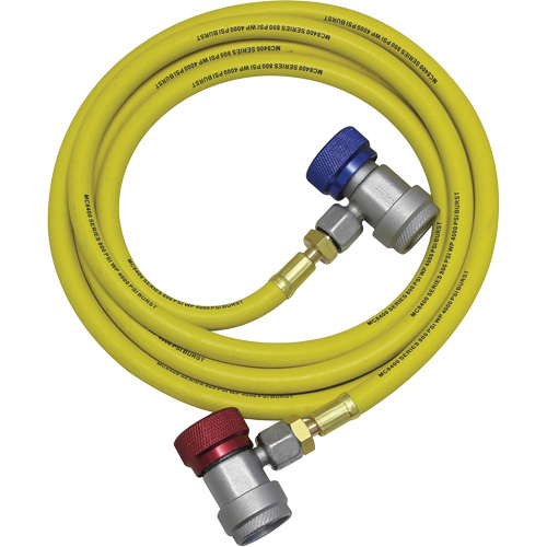 Ensemble flexible de rinçage pour syst&egrave;me de climatisation R134a Nia-Chem Ltd.
