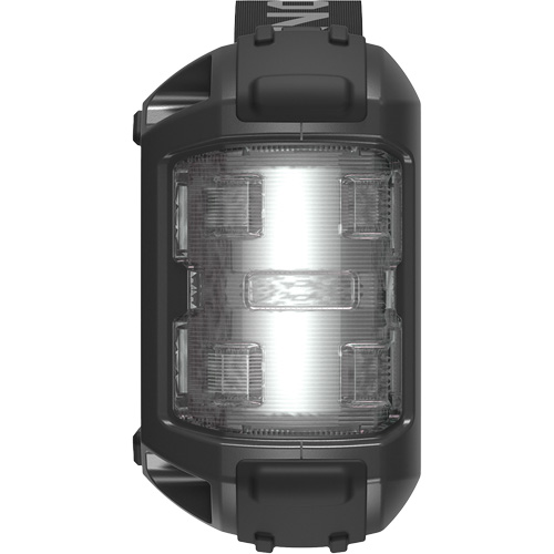 Survolteur, banque d'alimentation et lampe de poche JumpSurge3000 Nia-Chem Ltd.