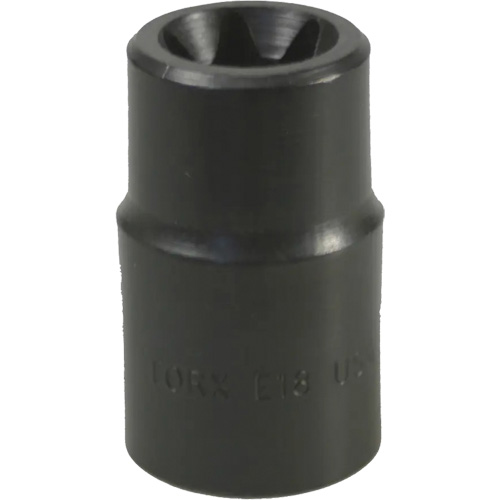 E-18 Torx&reg; Socket Nia-Chem Ltd.