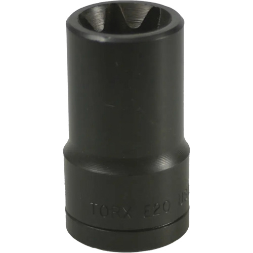 E-20 Torx&reg; Socket Nia-Chem Ltd.