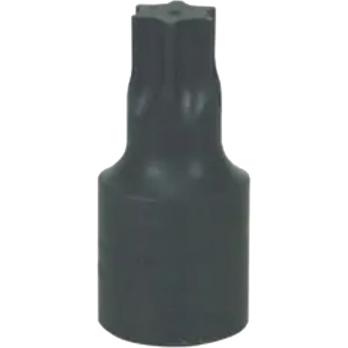 Large T-70 Torx&reg; Bit Nia-Chem Ltd.