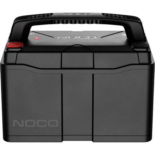 Group 31 120Ah Lithium-Ion LiFePO4 Dual-Purpose Battery Nia-Chem Ltd.