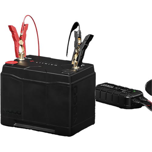 Group 31 120Ah Lithium-Ion LiFePO4 Dual-Purpose Battery Nia-Chem Ltd.