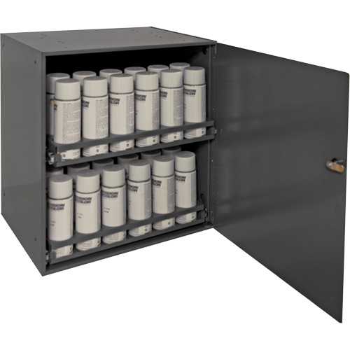 Armoire de rangement pour contenants a&eacute;rosol, Acier, 21-7/8" h x 15-15/16" la x 20-5/16" P, Gris Nia-Chem Ltd.