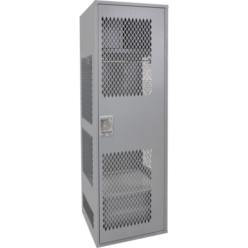 Gear Locker with Door, Steel, 24" W x 24" D x 72" H, Grey Nia-Chem Ltd.