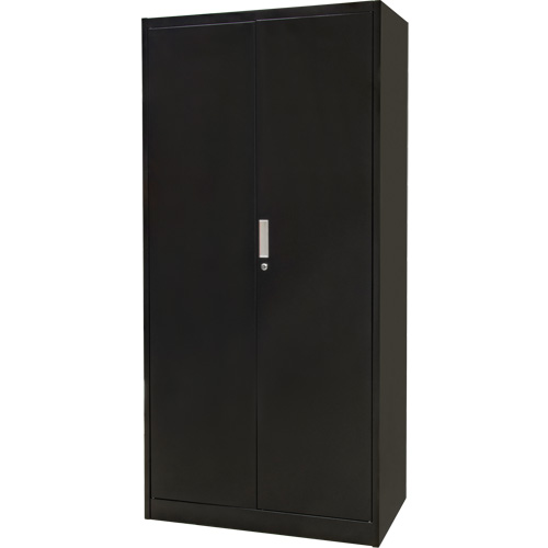 Combination Storage Cabinet, 36" W x 18" D x 72" H, Black Nia-Chem Ltd.