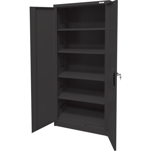 Storage Cabinet, Steel, 4 Shelves, 66" H x 30" W x 15" D, Black Nia-Chem Ltd.