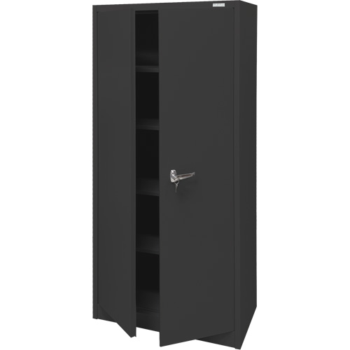 Storage Cabinet, Steel, 4 Shelves, 66" H x 30" W x 15" D, Black Nia-Chem Ltd.