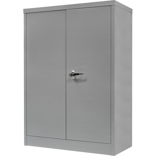 Counter-High Storage Cabinet, Steel, 2 Shelves, 42" H x 48" W x 24" D, Grey Nia-Chem Ltd.