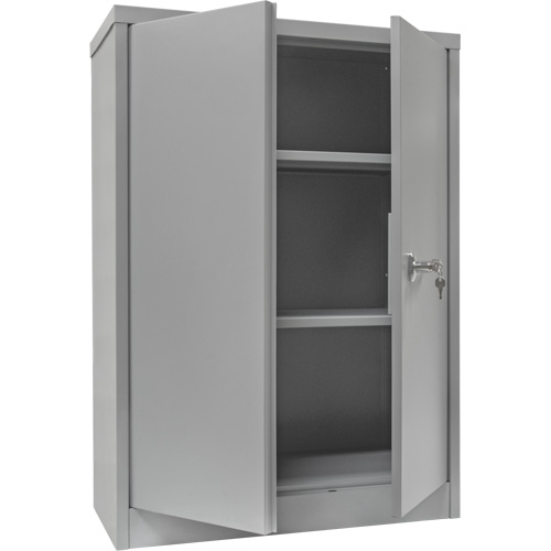 Counter-High Storage Cabinet, Steel, 2 Shelves, 42" H x 48" W x 24" D, Grey Nia-Chem Ltd.