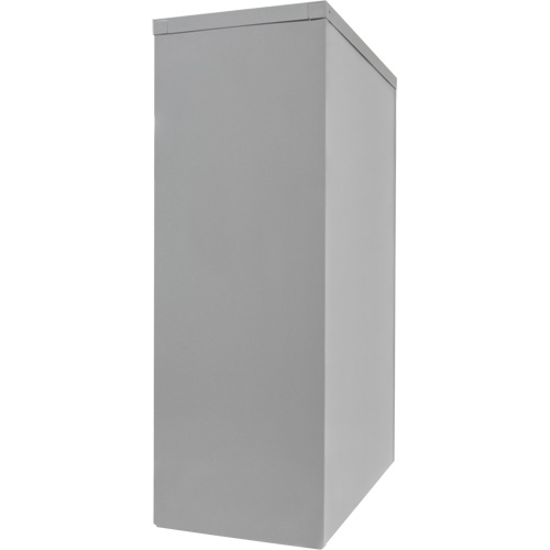 Counter-High Storage Cabinet, Steel, 2 Shelves, 42" H x 48" W x 24" D, Grey Nia-Chem Ltd.