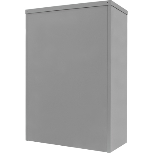 Counter-High Storage Cabinet, Steel, 2 Shelves, 42" H x 48" W x 24" D, Grey Nia-Chem Ltd.