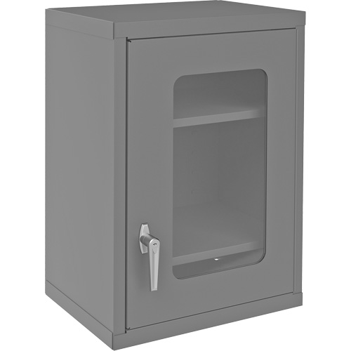 Armoire de rangement murale avec portes transparentes, 26-15/16" h x 18-1/8" la x 13-11/16" p, 2 tablettes, Acier, Gris Nia-Chem Ltd.